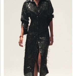Zara Sequin Midi Shirt Dress